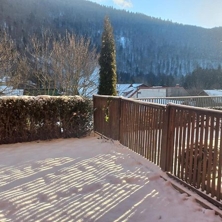 Belleview Garden Studio Apartment Sinaia Exterior photo