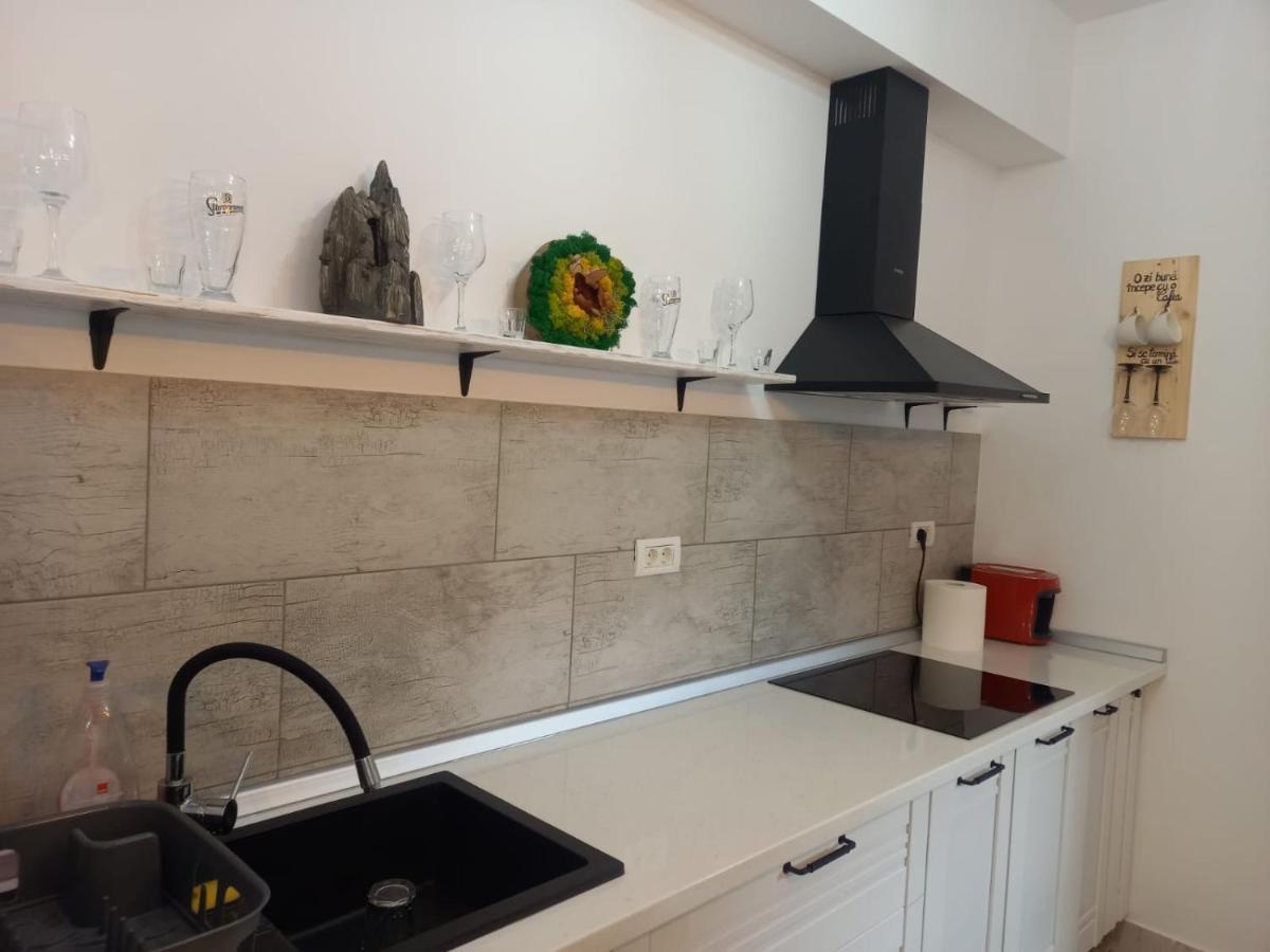 Belleview Garden Studio Apartment Sinaia Exterior photo