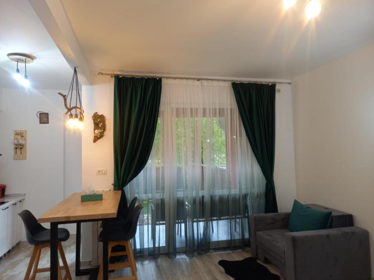 Belleview Garden Studio Apartment Sinaia Exterior photo