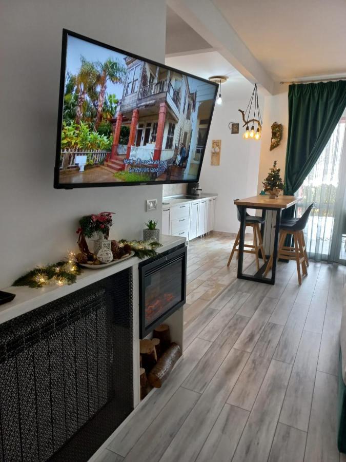 Belleview Garden Studio Apartment Sinaia Exterior photo