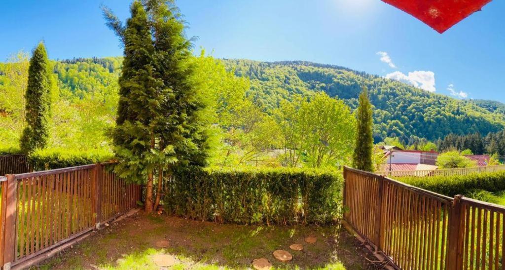 Belleview Garden Studio Apartment Sinaia Exterior photo