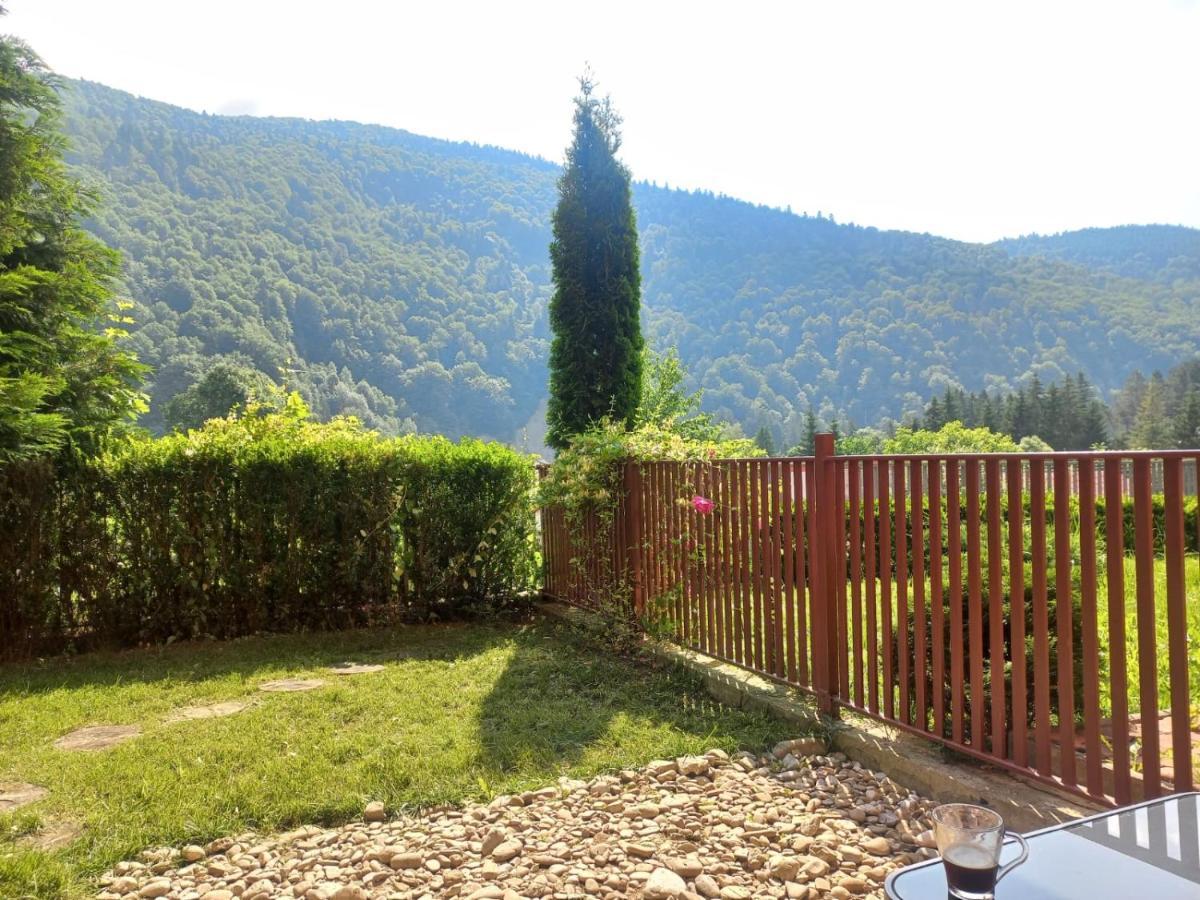 Belleview Garden Studio Apartment Sinaia Exterior photo