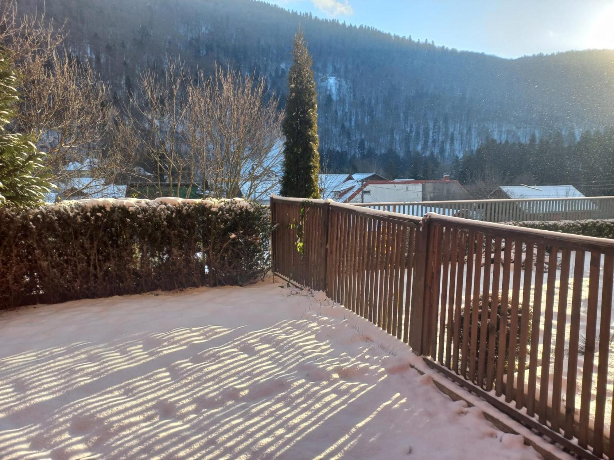 Belleview Garden Studio Apartment Sinaia Exterior photo